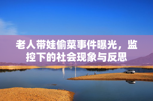 老人带娃偷菜事件曝光，监控下的社会现象与反思