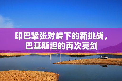 印巴紧张对峙下的新挑战，巴基斯坦的再次亮剑
