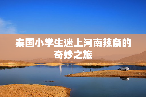 泰国小学生迷上河南辣条的奇妙之旅
