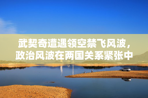 武契奇遭遇领空禁飞风波，政治风波在两国关系紧张中蔓延