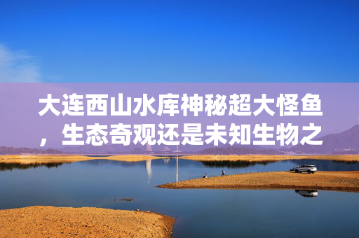 大连西山水库神秘超大怪鱼，生态奇观还是未知生物之谜？