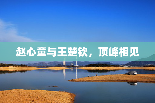 赵心童与王楚钦，顶峰相见