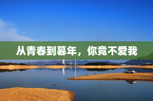 从青春到暮年，你竟不爱我