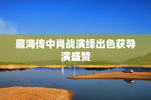 藏海传中肖战演绎出色获导演盛赞