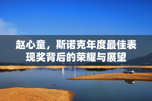 赵心童，斯诺克年度最佳表现奖背后的荣耀与展望