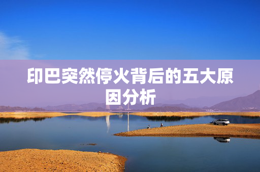 印巴突然停火背后的五大原因分析