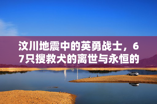 汶川地震中的英勇战士，67只搜救犬的离世与永恒的奉献