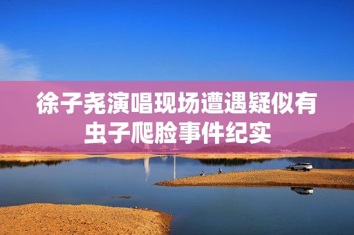 徐子尧演唱现场遭遇疑似有虫子爬脸事件纪实