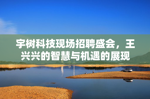 宇树科技现场招聘盛会，王兴兴的智慧与机遇的展现