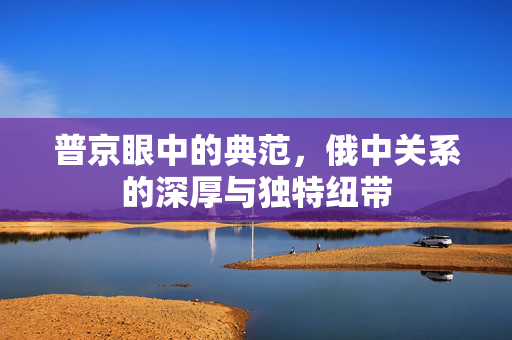 普京眼中的典范，俄中关系的深厚与独特纽带