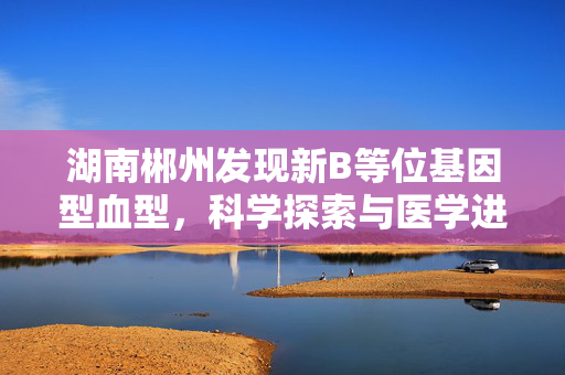 湖南郴州发现新B等位基因型血型，科学探索与医学进步的里程碑