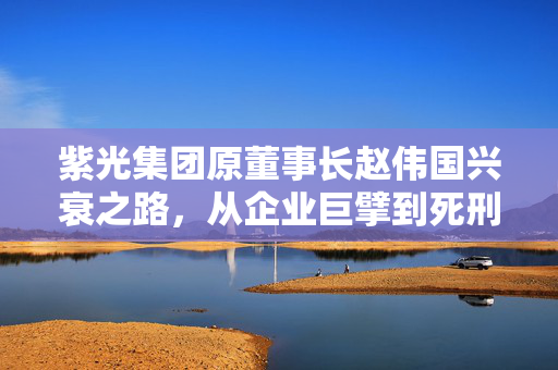 紫光集团原董事长赵伟国兴衰之路，从企业巨擘到死刑缓期执行