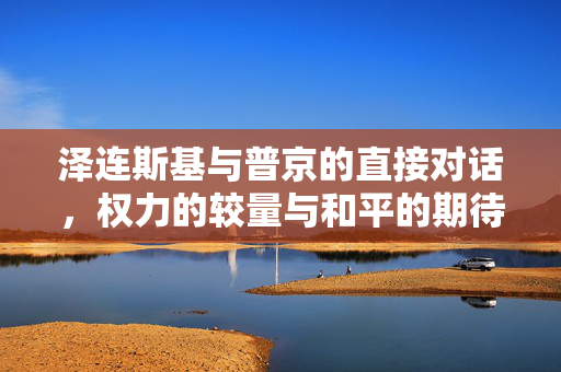 泽连斯基与普京的直接对话，权力的较量与和平的期待