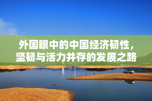 外国眼中的中国经济韧性，坚韧与活力并存的发展之路