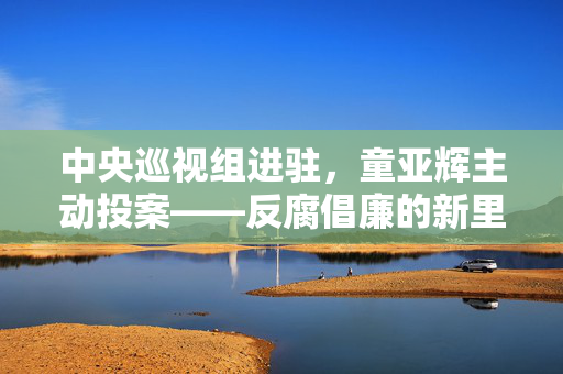 中央巡视组进驻，童亚辉主动投案——反腐倡廉的新里程碑