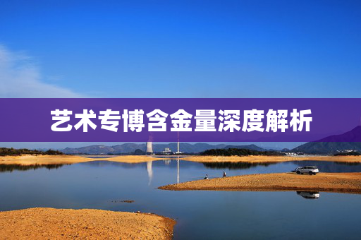 艺术专博含金量深度解析