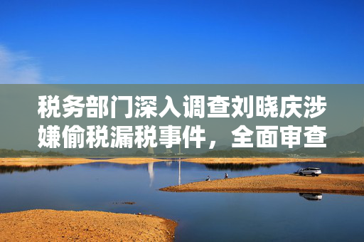 税务部门深入调查刘晓庆涉嫌偷税漏税事件，全面审查与追责的背后