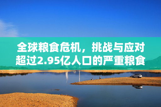 全球粮食危机，挑战与应对超过2.95亿人口的严重粮食不安全