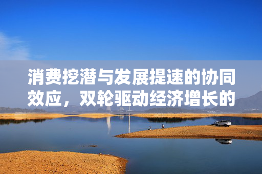 消费挖潜与发展提速的协同效应，双轮驱动经济增长的新动力