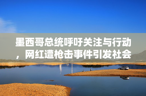 墨西哥总统呼吁关注与行动，网红遭枪击事件引发社会关注