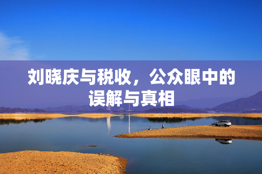 刘晓庆与税收，公众眼中的误解与真相
