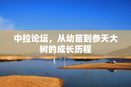 中拉论坛，从幼苗到参天大树的成长历程