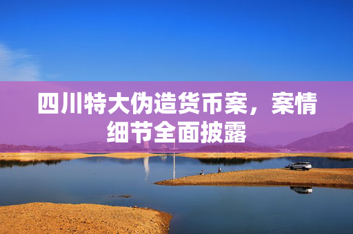 四川特大伪造货币案，案情细节全面披露