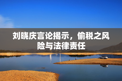 刘晓庆言论揭示，偷税之风险与法律责任