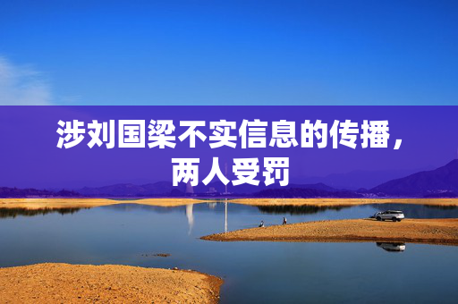 涉刘国梁不实信息的传播，两人受罚