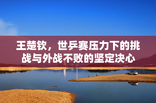 王楚钦，世乒赛压力下的挑战与外战不败的坚定决心