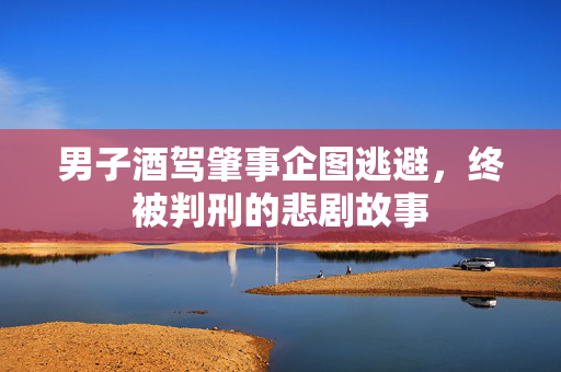 男子酒驾肇事企图逃避，终被判刑的悲剧故事