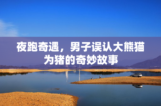 夜跑奇遇，男子误认大熊猫为猪的奇妙故事