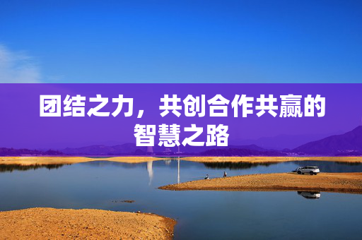 团结之力，共创合作共赢的智慧之路