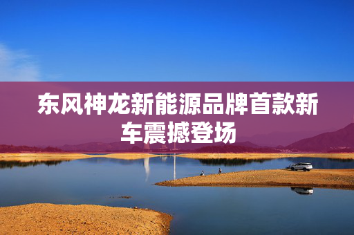 东风神龙新能源品牌首款新车震撼登场