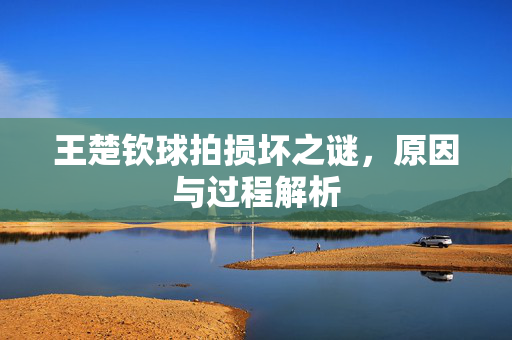 王楚钦球拍损坏之谜，原因与过程解析