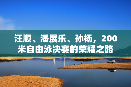 汪顺、潘展乐、孙杨，200米自由泳决赛的荣耀之路