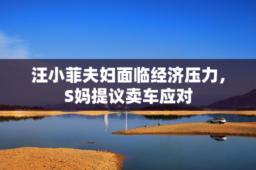 汪小菲夫妇面临经济压力，S妈提议卖车应对