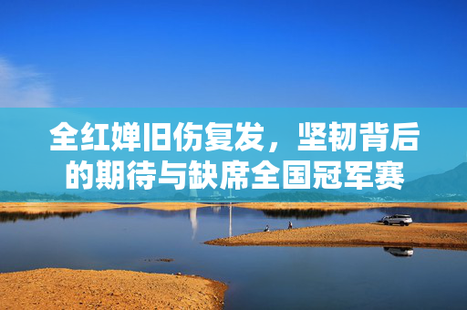 全红婵旧伤复发，坚韧背后的期待与缺席全国冠军赛