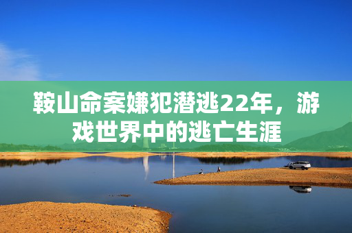 鞍山命案嫌犯潜逃22年，游戏世界中的逃亡生涯