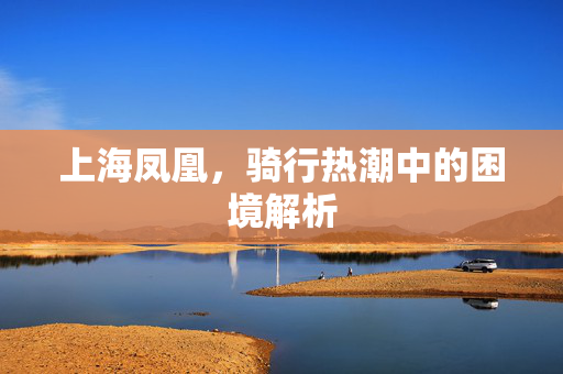 上海凤凰，骑行热潮中的困境解析