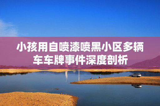 小孩用自喷漆喷黑小区多辆车车牌事件深度剖析