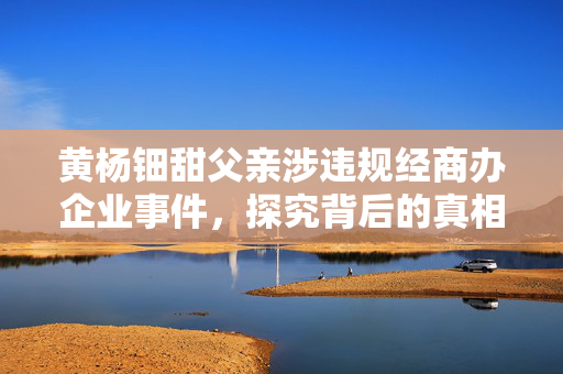 黄杨钿甜父亲涉违规经商办企业事件，探究背后的真相
