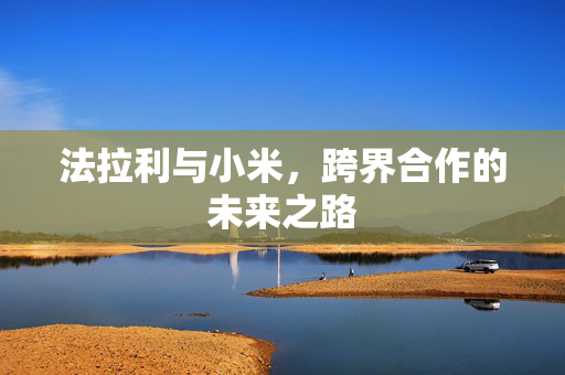 法拉利与小米，跨界合作的未来之路