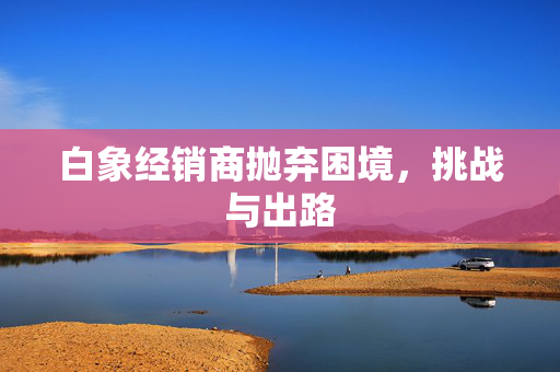 白象经销商抛弃困境，挑战与出路