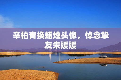 辛柏青换蜡烛头像，悼念挚友朱媛媛