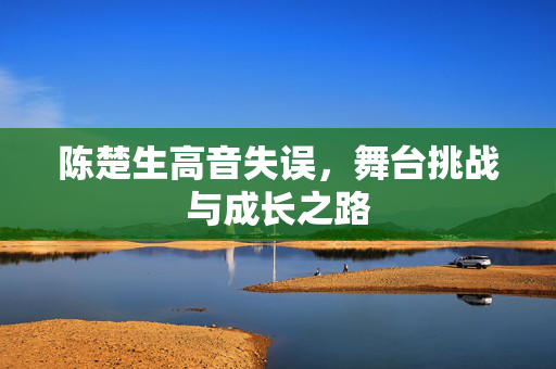 陈楚生高音失误，舞台挑战与成长之路