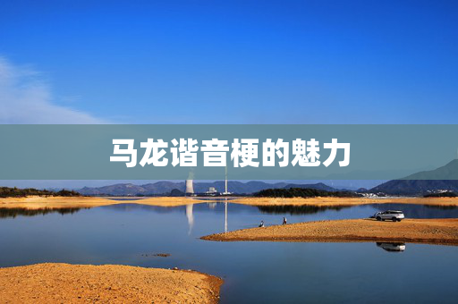 马龙谐音梗的魅力