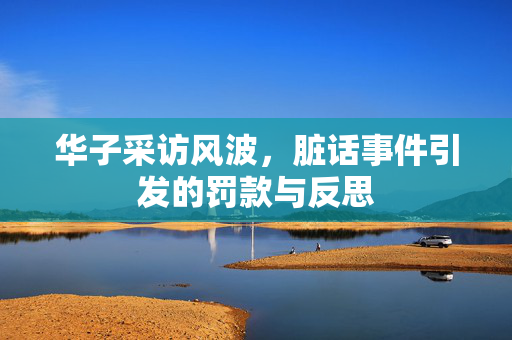 华子采访风波，脏话事件引发的罚款与反思