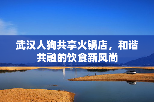 武汉人狗共享火锅店，和谐共融的饮食新风尚