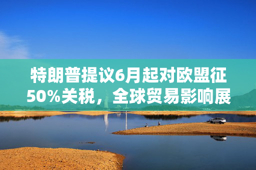 特朗普提议6月起对欧盟征50%关税，全球贸易影响展望